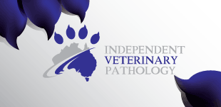 Independent Veterinary Pathology