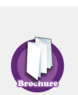 brochure icon